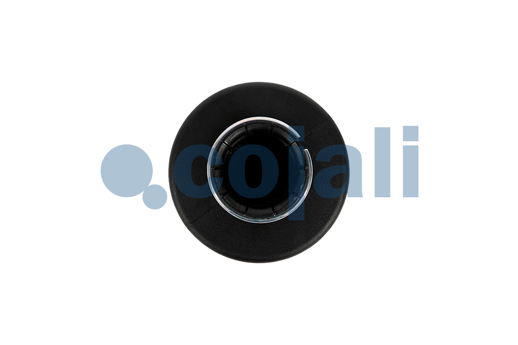 2203109 | 4324070150 | SILENCER - Cojali Parts 