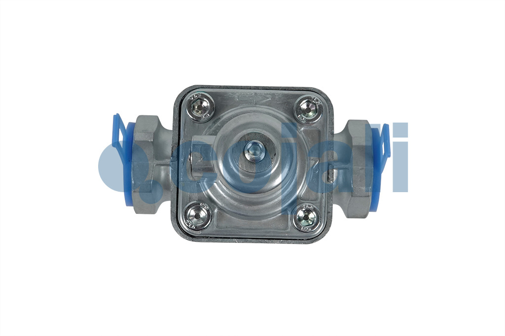 2206173 4341002400 OVERFLOW VALVE Cojali Parts