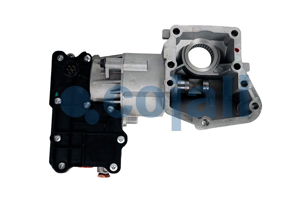 2216215 | 4213500830 | GANGMODUL - Cojali Parts 