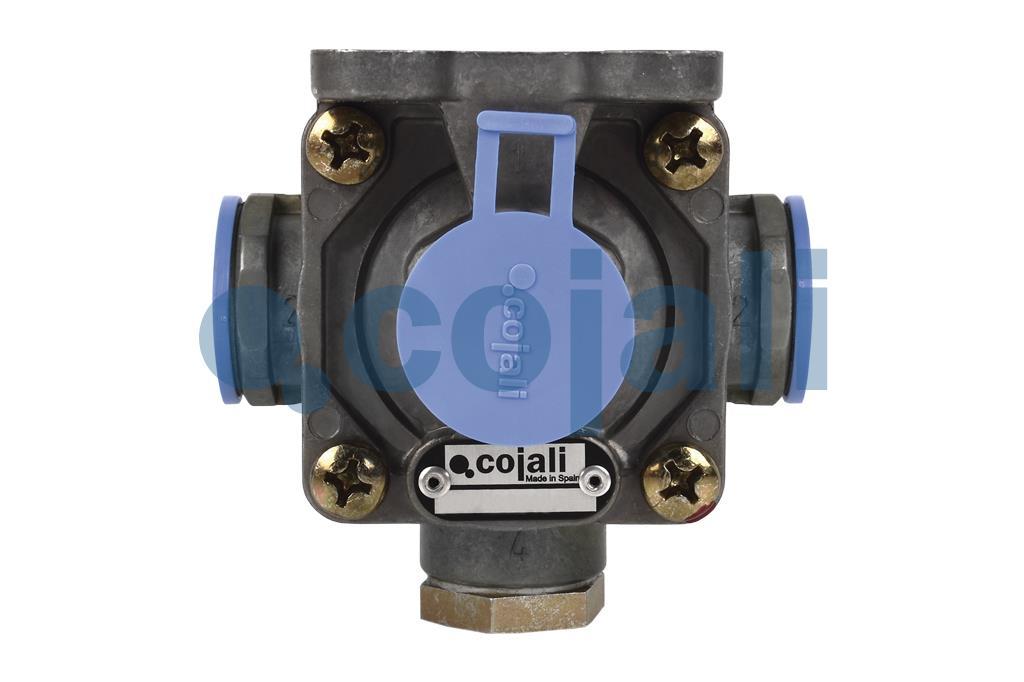 COMPENSATION VALVE, 2229209, 9750010120