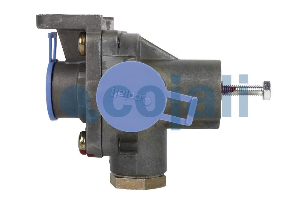 COMPENSATION VALVE, 2229100, 9750010000