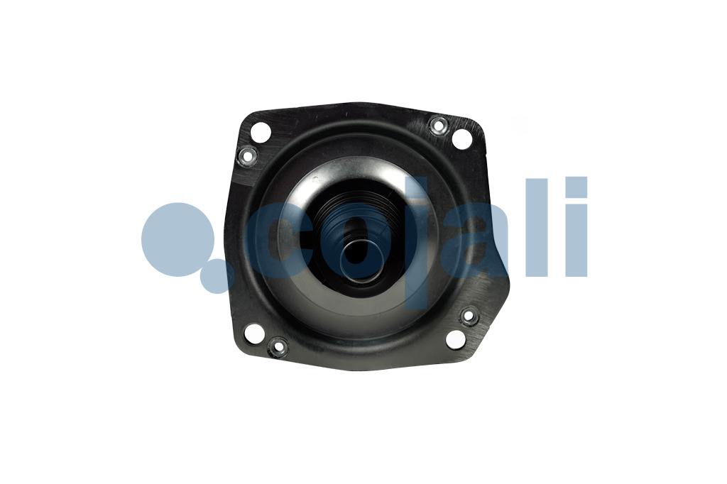 2250199 | 9700511860 | CLUTCH SERVO - Cojali Parts 