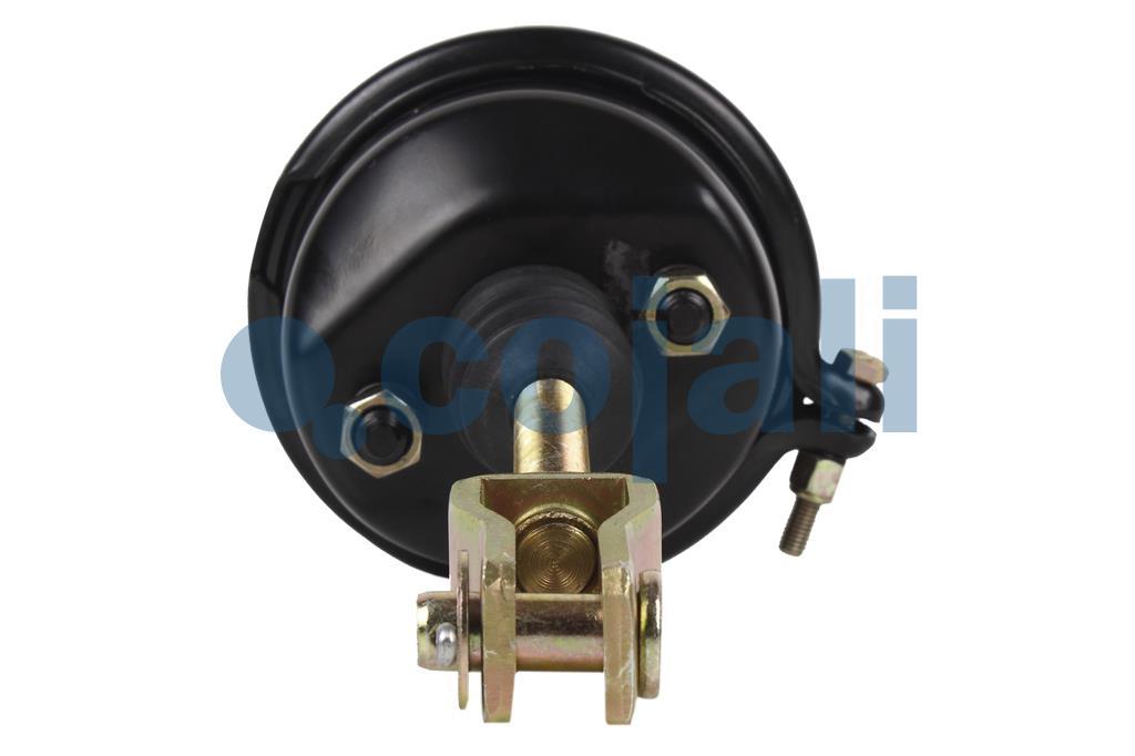 BRAKE CHAMBER T-12, 2251101, 4231039000