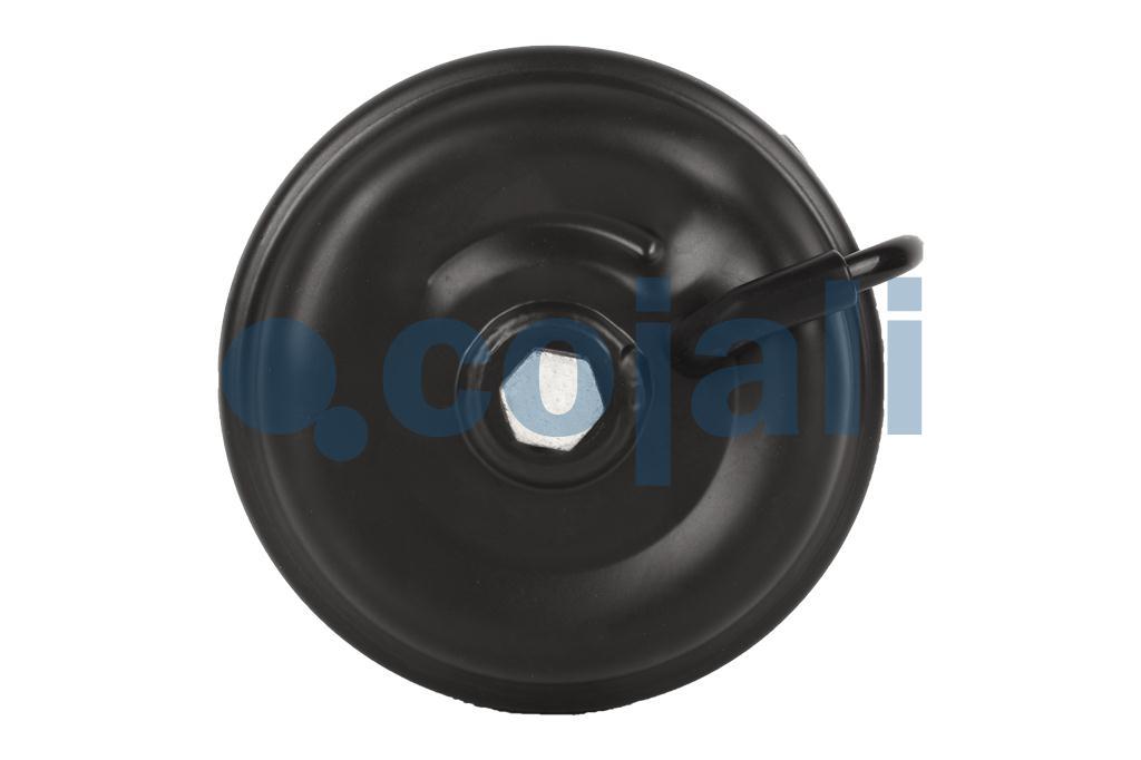 2251304 | 4253270510 | SPRING BRAKE (WEDGE BRAKE) 12/20 - Cojali Parts 