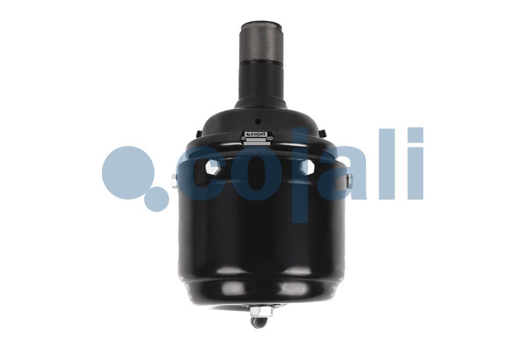 2251306 | 4253270670 | SPRING BRAKE (WEDGE BRAKE) 12/16 - Cojali Parts 