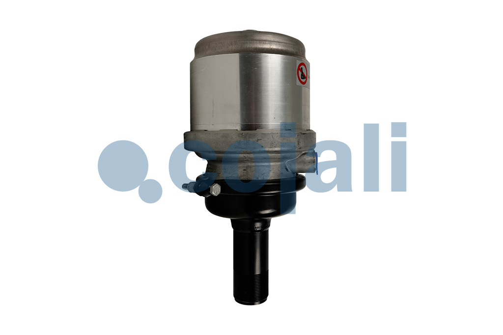2251313 | II36537 | SPRING BRAKE (WEDGE BRAKE) 12/20 - Cojali Parts