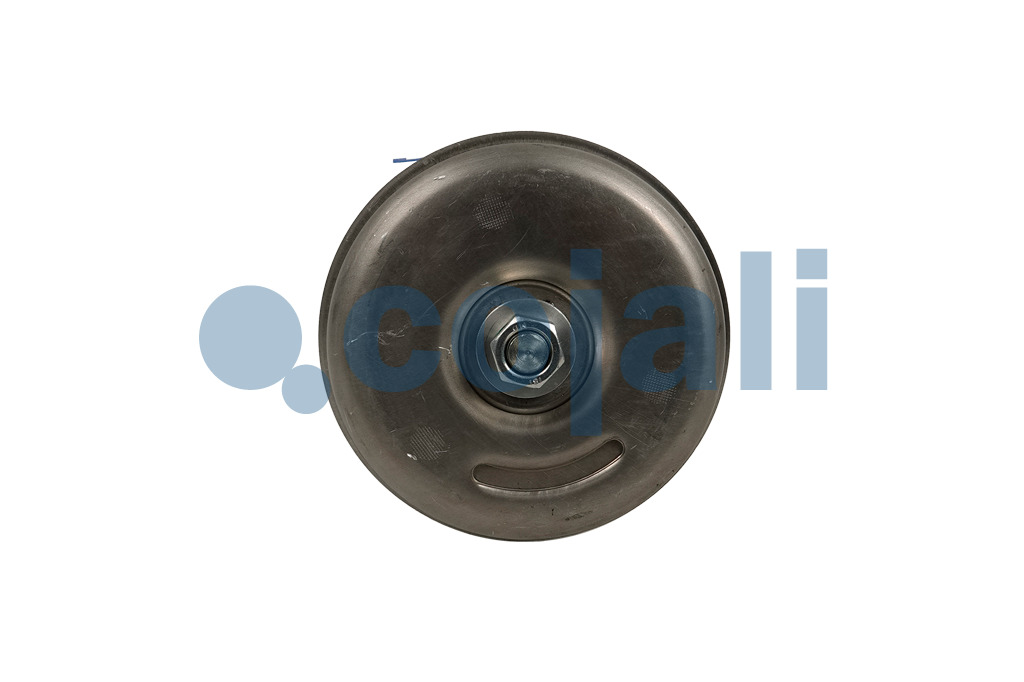 2259763 | II17469 | SPRING BRAKE (WEDGE BRAKE) 12/20 - Cojali Parts 