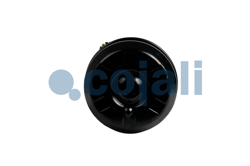 2251433 | 9253723000 | DOUBLE DIAPHRAGM SPRING BRAKE 30/30 