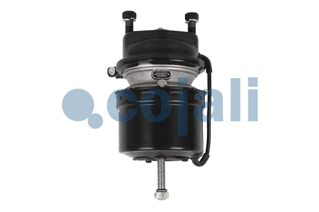 2251505 | 9254262000 | SPRING BRAKE (DISC BRAKE) 14/16 - Cojali Parts