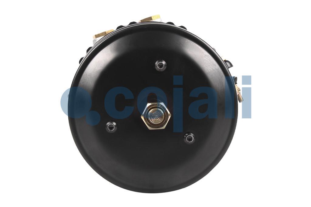 2251506 | 9254901050 | SPRING BRAKE (CAM BRAKE) 20/24 - Cojali Parts