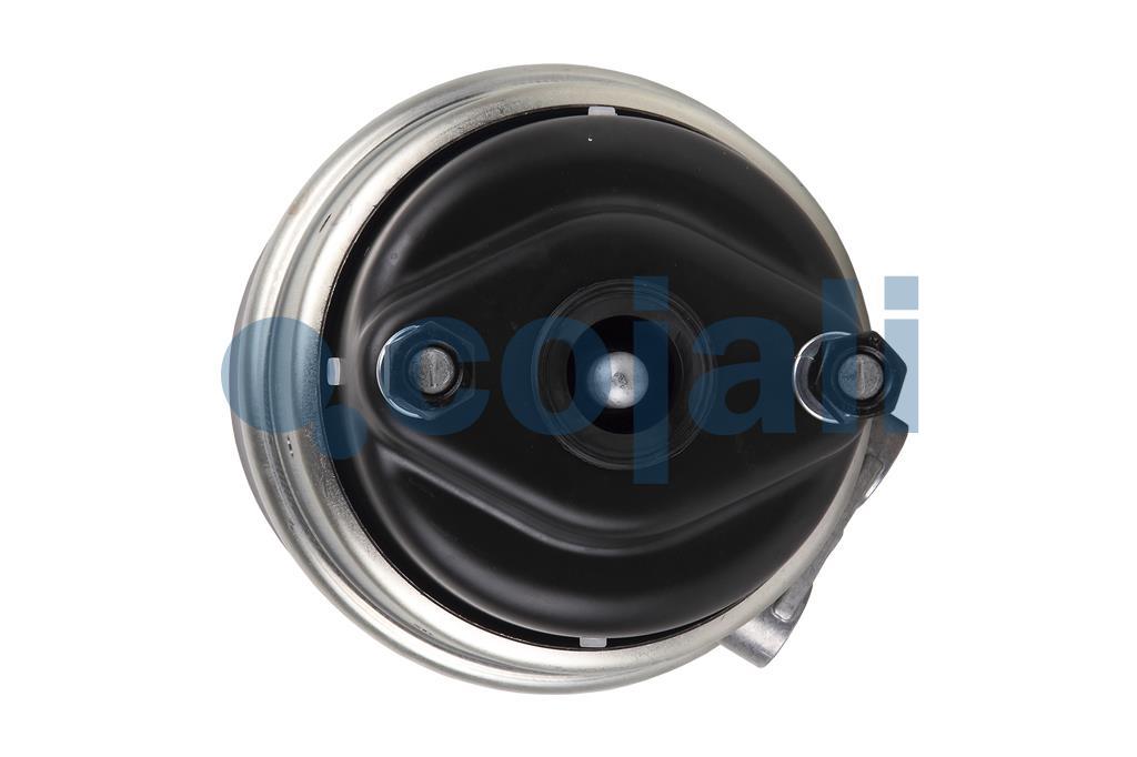 2251508 | 68322892 | SPRING BRAKE (DISC BRAKE) 24/30 - Cojali Parts