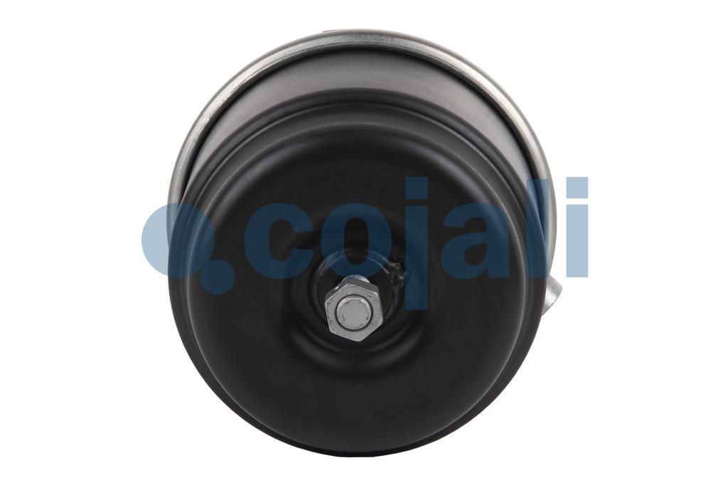2251508 | 68322892 | SPRING BRAKE (DISC BRAKE) 24/30 - Cojali Parts