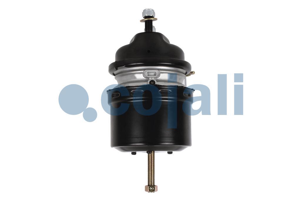 2259141 | 9254600000 | SPRING BRAKE (DISC BRAKE) 20/24 PORT 