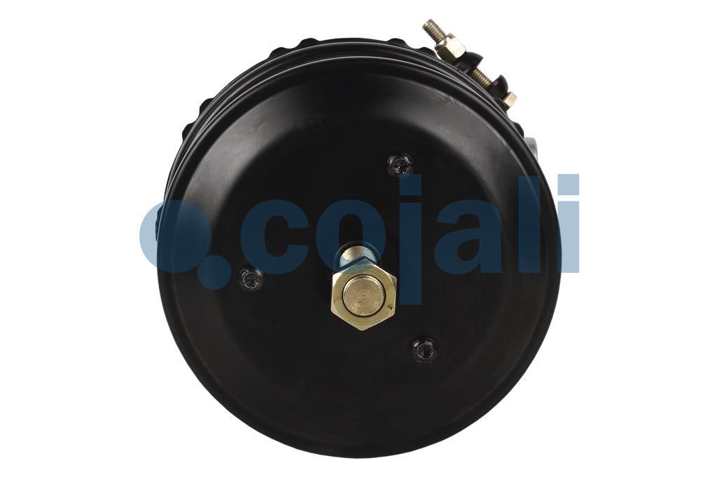 2259141 | 9254600000 | SPRING BRAKE (DISC BRAKE) 20/24 PORT 