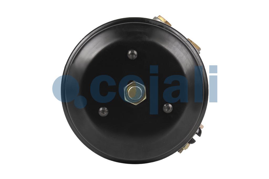 2259512 | 9254921020 | SPRING BRAKE (CAM BRAKE) 30/30 - Cojali Parts 