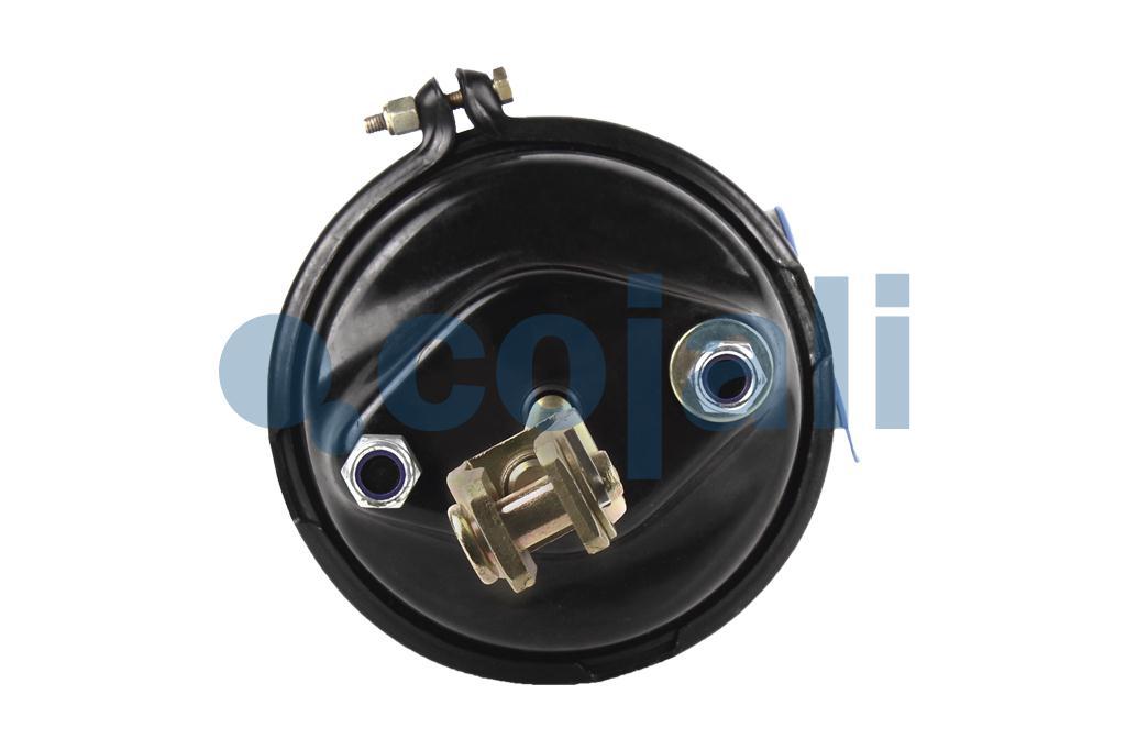 2251527 | 9254990010 | SPRING BRAKE (CAM BRAKE) 27/30 PORT THREADS 