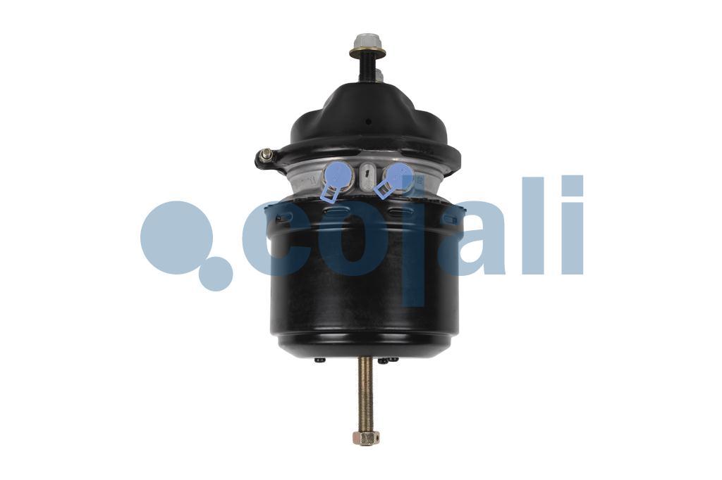 2251536 | 9254813100 | SPRING BRAKE (DISC BRAKE) 24/30 - Cojali Parts 
