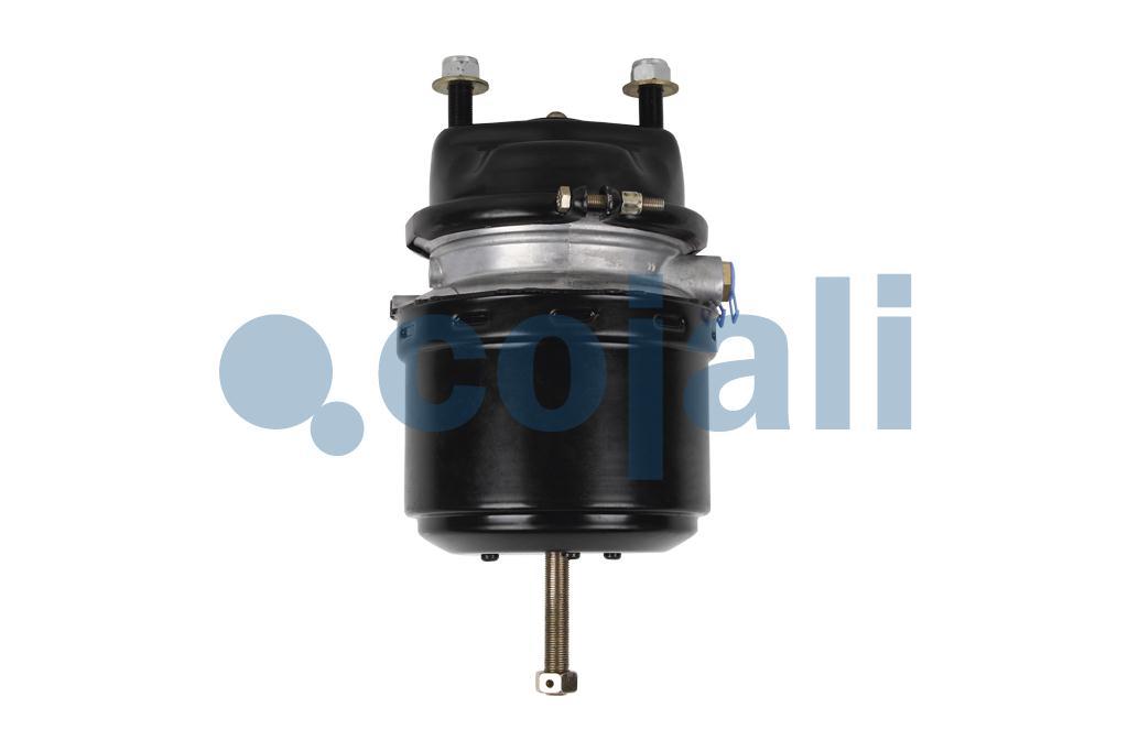 2251536 | 9254813100 | SPRING BRAKE (DISC BRAKE) 24/30 - Cojali Parts