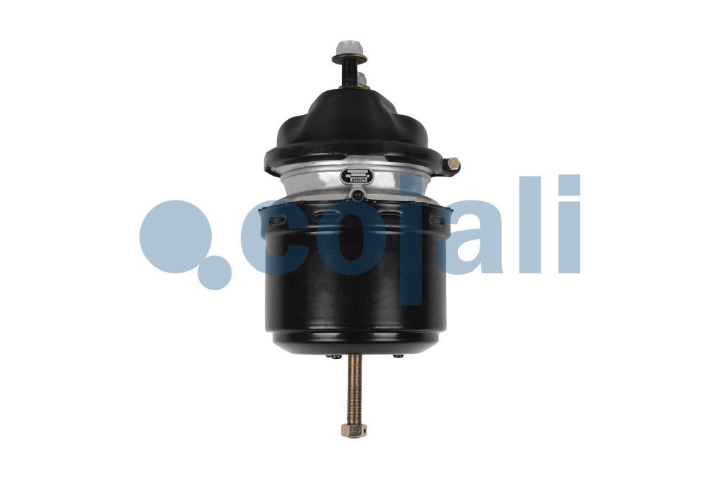 2251536 | 9254813100 | SPRING BRAKE (DISC BRAKE) 24/30 - Cojali Parts