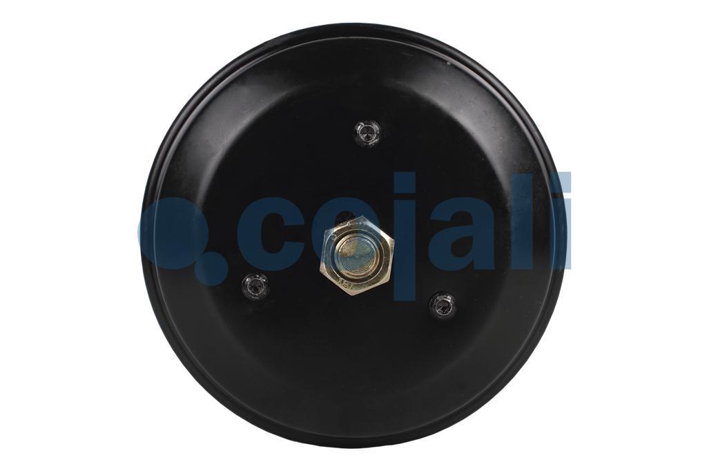2251536 | 9254813100 | SPRING BRAKE (DISC BRAKE) 24/30 - Cojali Parts