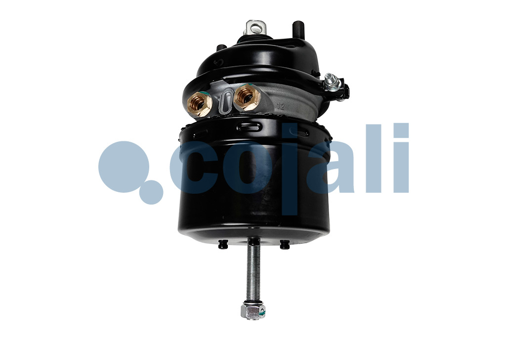 2251619 | 9254919010 | TRISTOP SPRING BRAKE 24/24 PORT THREADS 