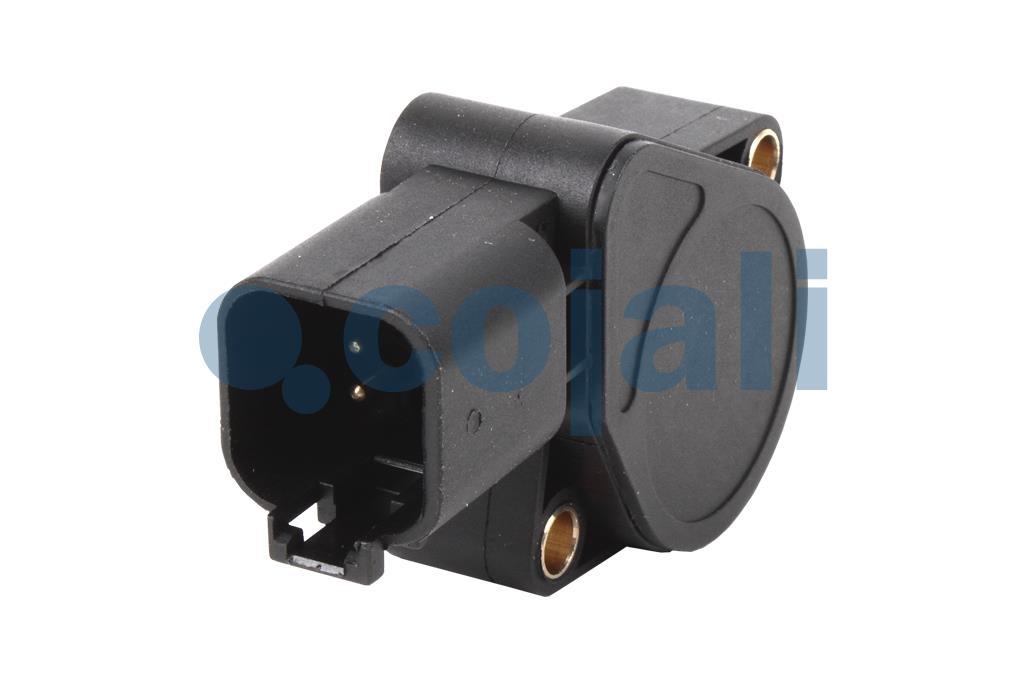 2260372 | 7482492421 | ACCELERATOR POSITION SENSOR - Cojali Parts