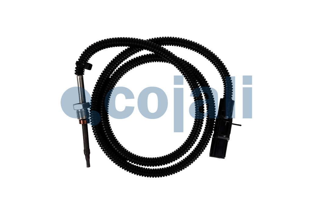 2260894 | 7421412472 | EXHAUST GAS TEMPERATURE SENSOR - Cojali Parts