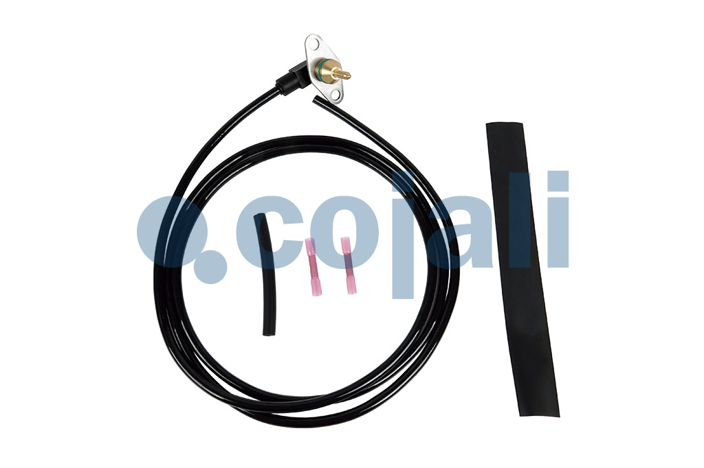 2260876 | 1881331 | TEMPERATURE SENSOR - Cojali Parts
