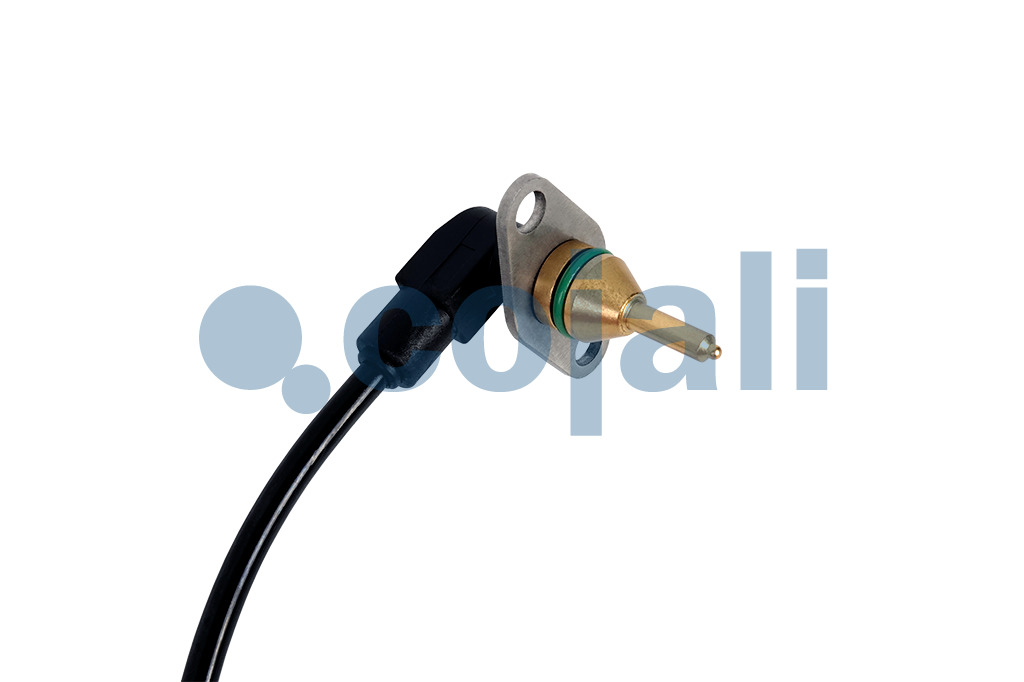 2260940 | 1881330 | TEMPERATURE SENSOR - Cojali Parts 