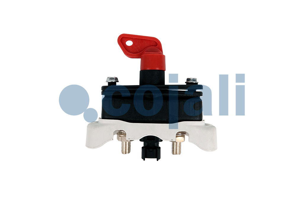 2261019 | 21243844 | BATTERIETRENNSCHALTER - Cojali Parts