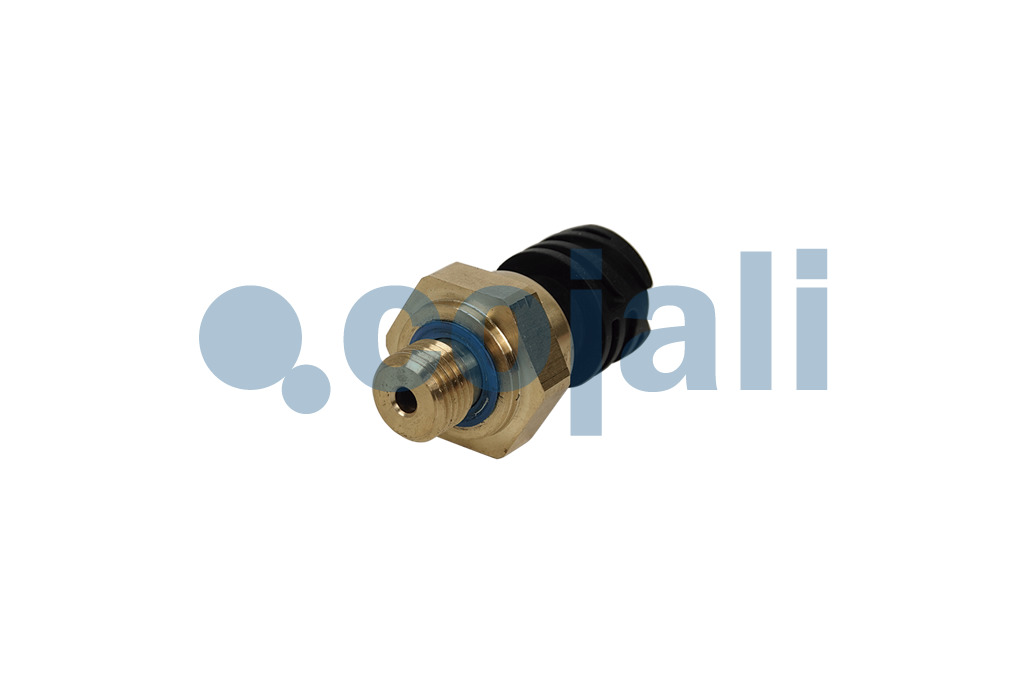 2262032 | 2126981 | ÖLDRUCKSENSOR - Cojali Parts