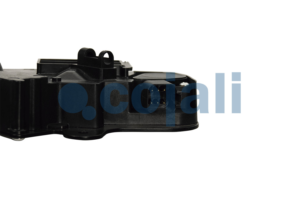 2262064 | 7423328370 | THROTTLE PEDAL - Cojali Parts 