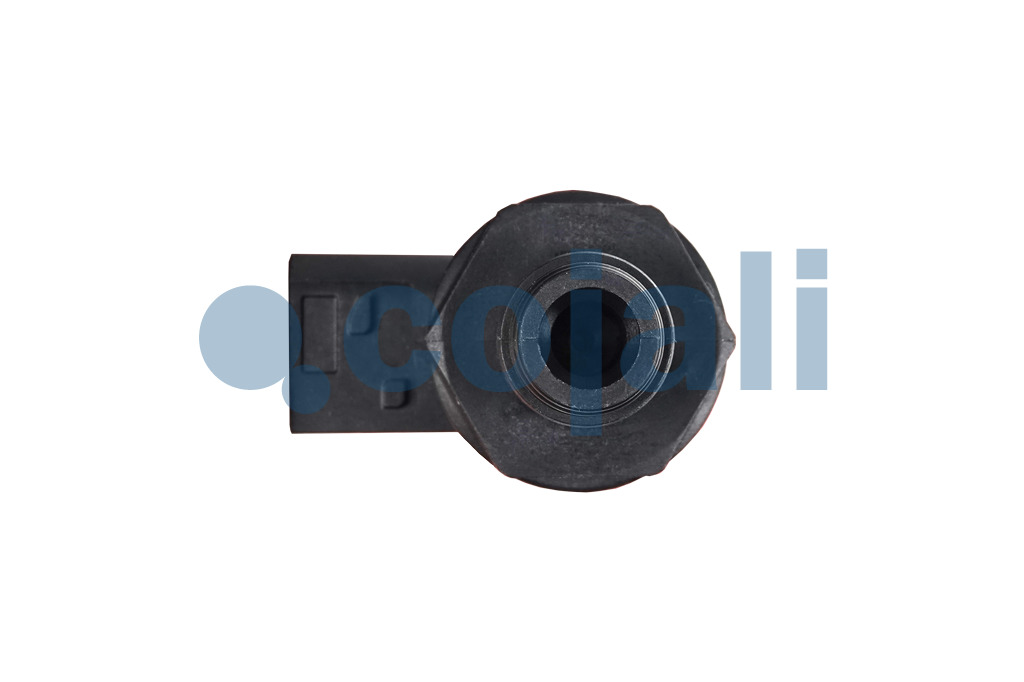 2262080 | 22677703 | AIR PRESSURE SENSOR - Cojali Parts