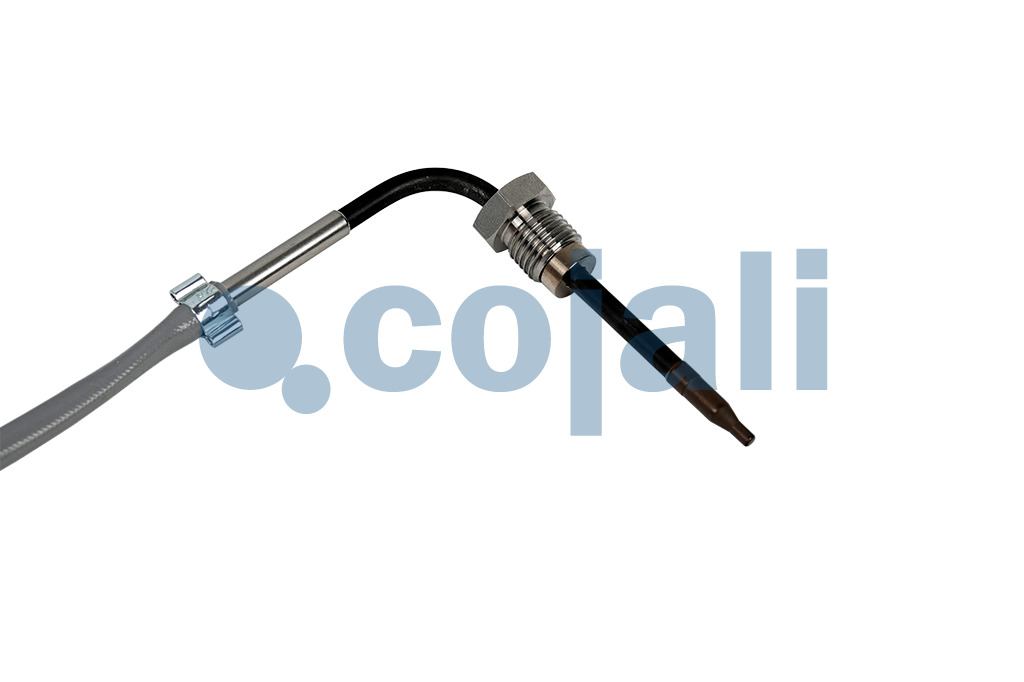 2262666 | 2301849 | EXHAUST GAS TEMPERATURE SENSOR - Cojali Parts
