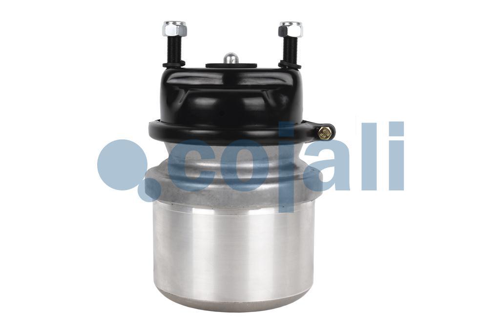 2259650 | BS9449 | SPRING BRAKE (DISC BRAKE) 20/24 - Cojali Parts