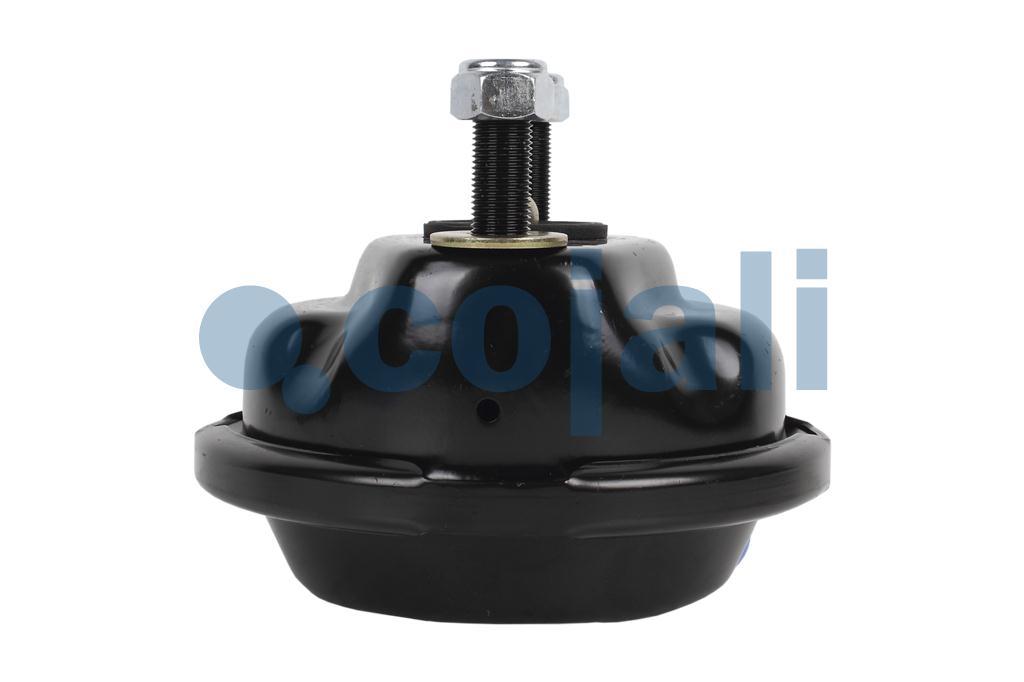 2259604 | II18886 | BRAKE CHAMBER (DISC BRAKE) T-22 - Cojali Parts