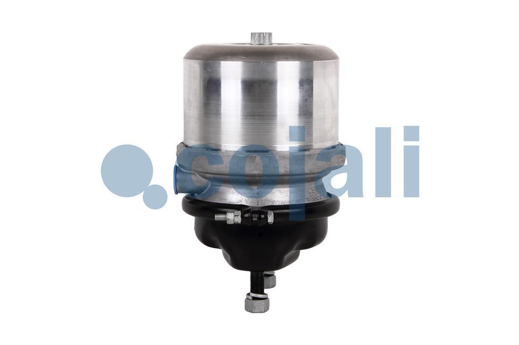 2351319 | BS9458 | SPRING BRAKE (DISC BRAKE) 20/24 PORT THREADS 