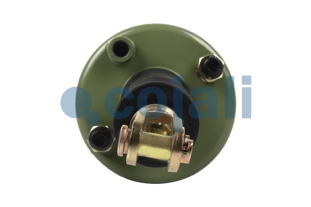 2259240 | BZ6616 | SPRING CHAMBER 125 - Cojali Parts