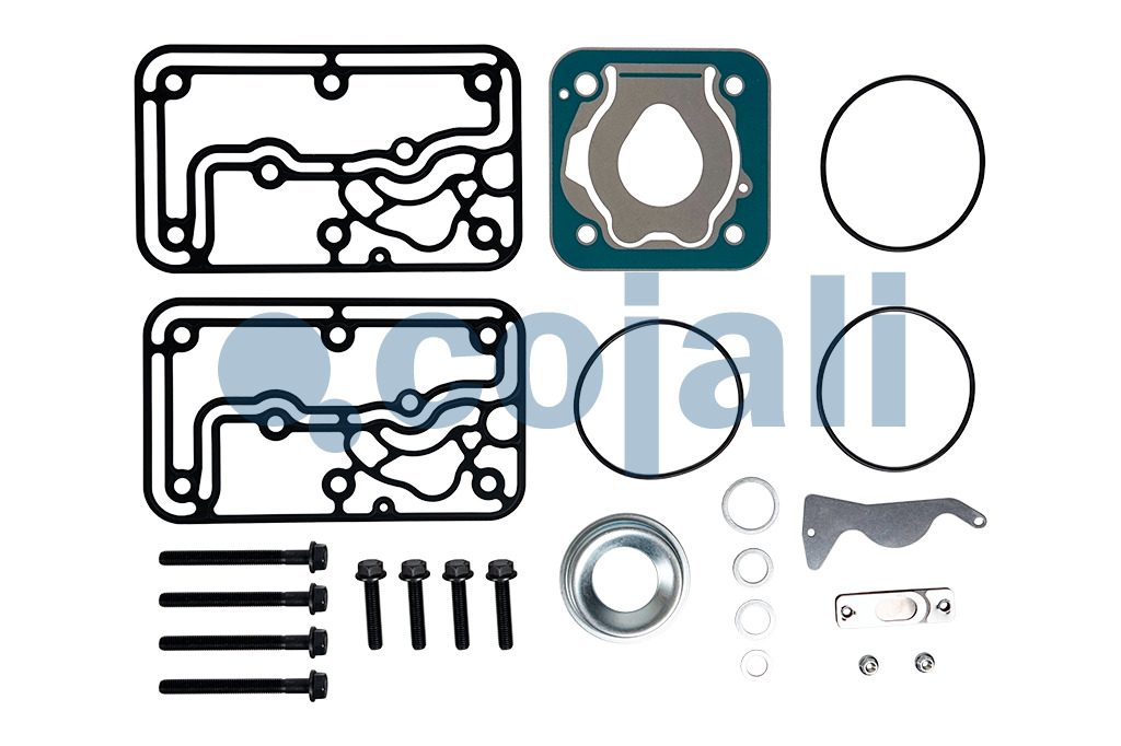 25000005 4123520022 COMPRESSOR REPAIR KIT Cojali Parts