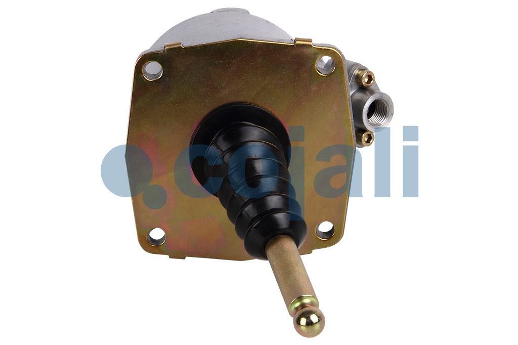 2550902 | 629276AM | KUPPLUNGSKRAFTVERSTÄRKER - Cojali Parts