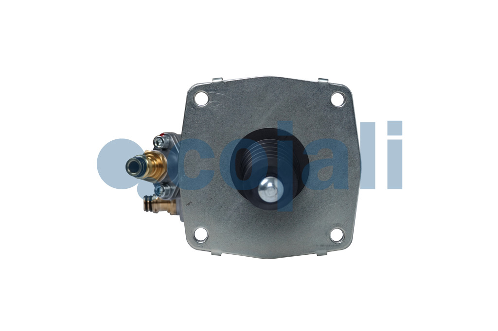 2550910 | 1000443298AM | CLUTCH SERVO - Cojali Parts