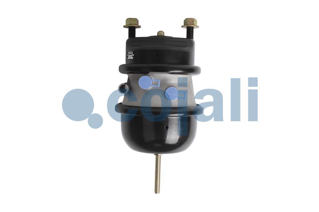 2259056 | 9253840100 | DOUBLE DIAPHRAGM SPRING BRAKE (DISC BRAKE 