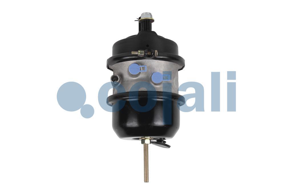 2851113 | 41225763 | DOUBLE DIAPHRAGM SPRING BRAKE (DISC BRAKE) 24 