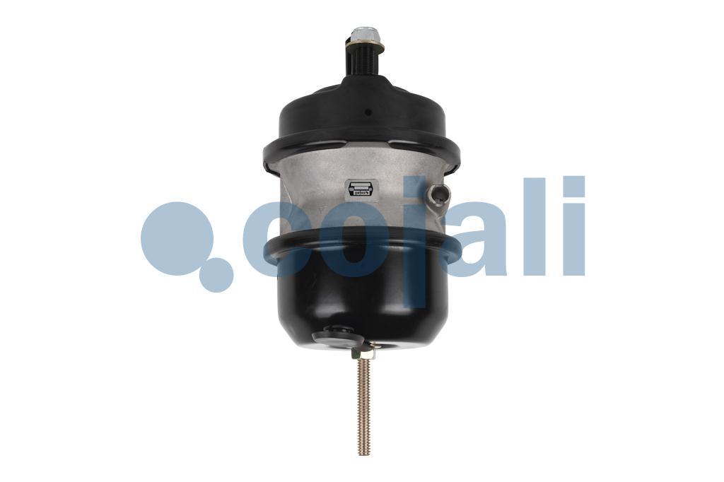 2851113 | 41225763 | DOUBLE DIAPHRAGM SPRING BRAKE (DISC BRAKE) 24 