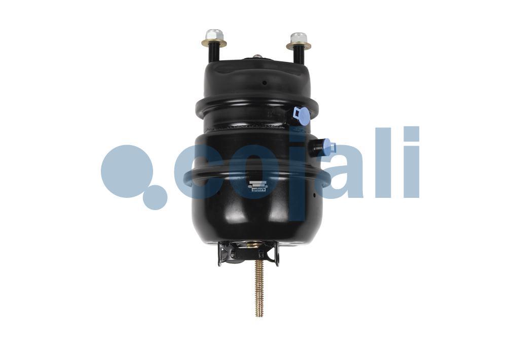2851120 | 41229067 | DOUBLE DIAPHRAGM SPRING BRAKE (DISC BRAKE) 20 