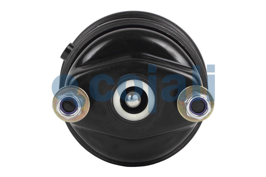 2851120 | 41229067 | DOUBLE DIAPHRAGM SPRING BRAKE (DISC BRAKE) 20