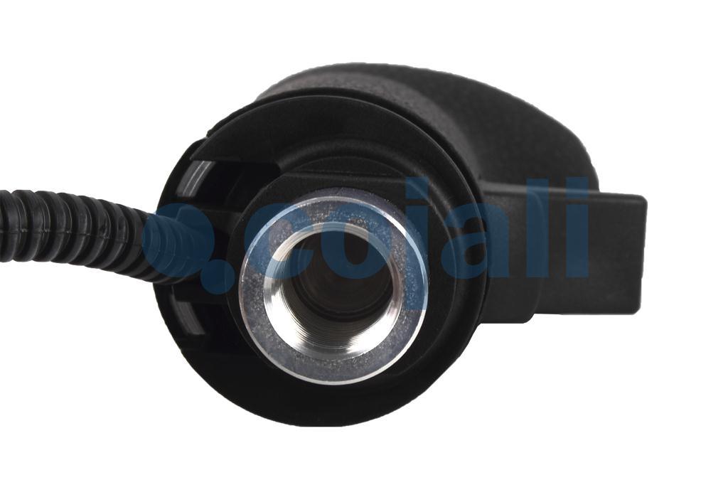 2880187 | 81326200091 | GEARBOX KNOB - Cojali Parts