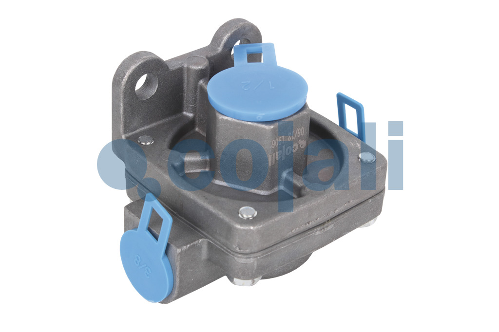 2991063 | 229860 | QUICK RELEASE VALVE - Cojali Parts