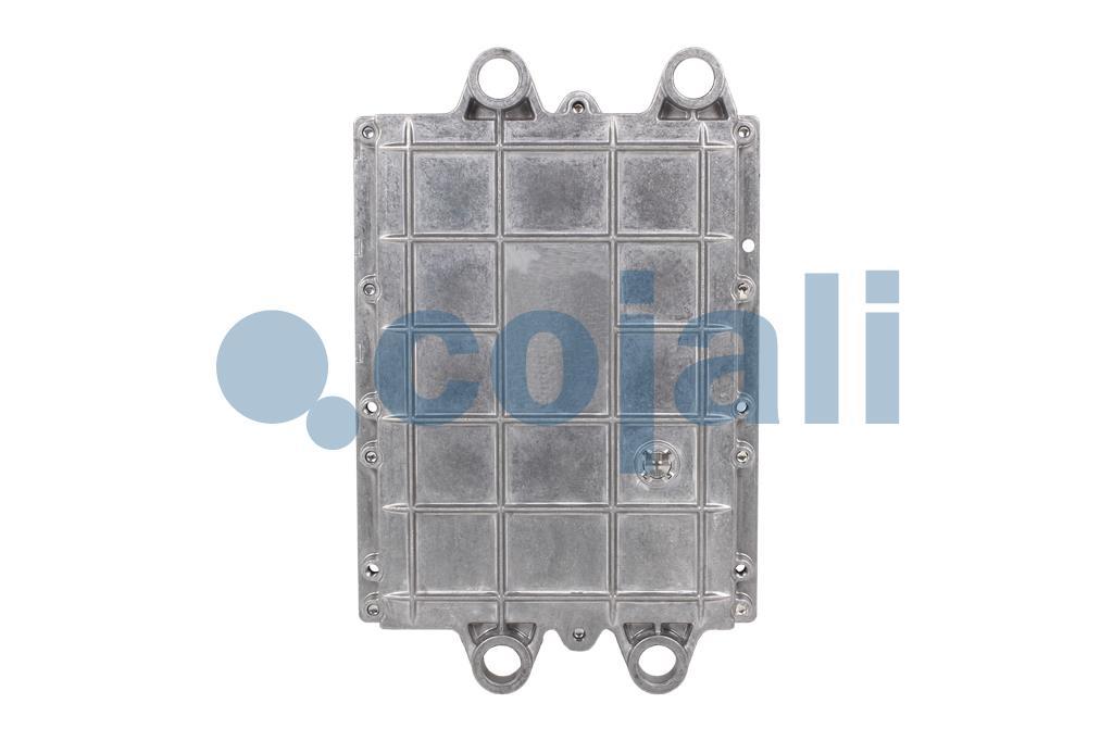 350404 | 0074465840 | ELECTRONIC CONTROL UNIT OF ENGINE REMAN 