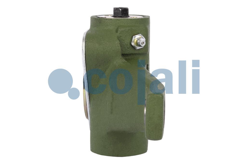 4230678 | 72484C | SLACK ADJUSTER - Cojali Parts